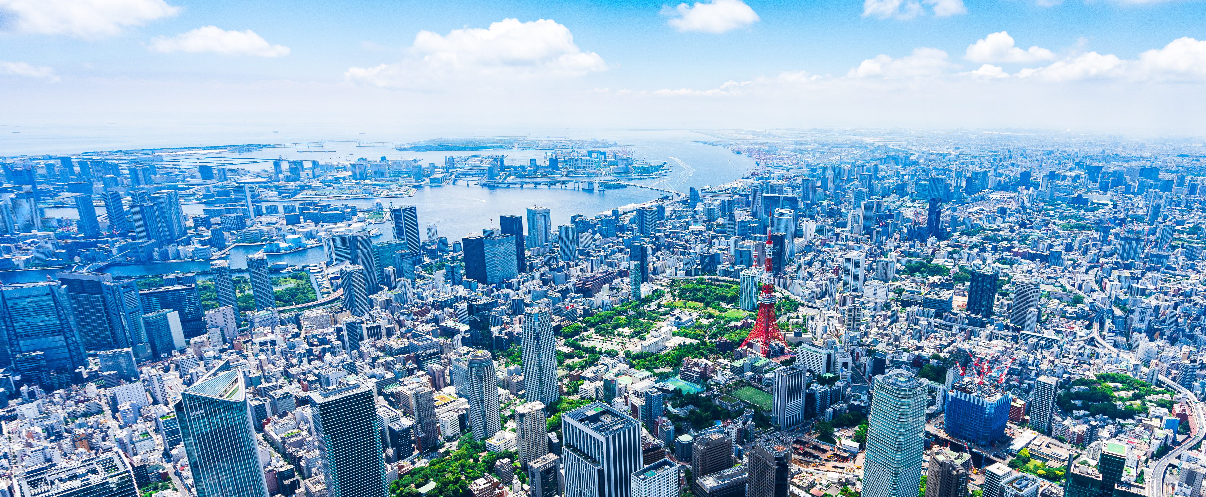 東京の街並みと緑を見渡す広大な都市景観
